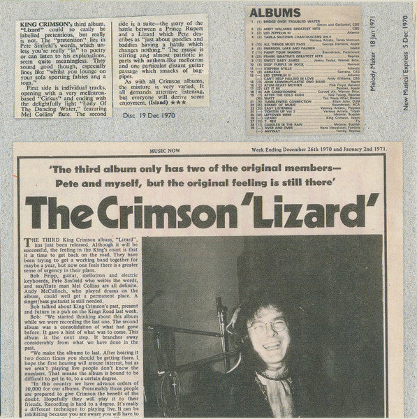 lizard