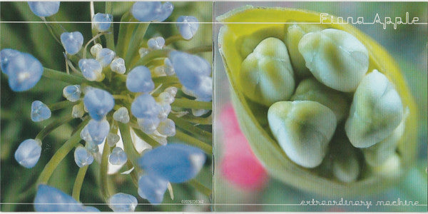 extraordinary-machine