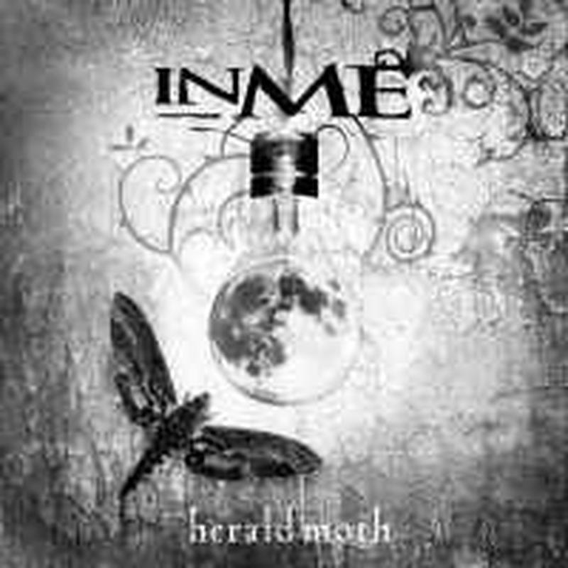 herald-moth