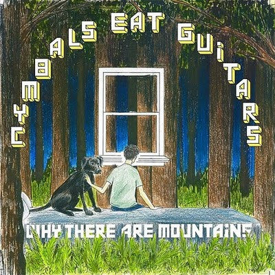 why-there-are-mountains