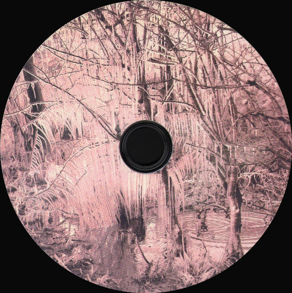 violet-cries
