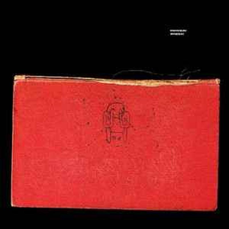amnesiac