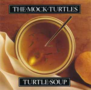 turtle-soup