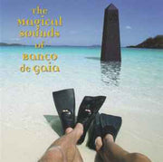 the-magical-sounds-of-banco-de-gaia