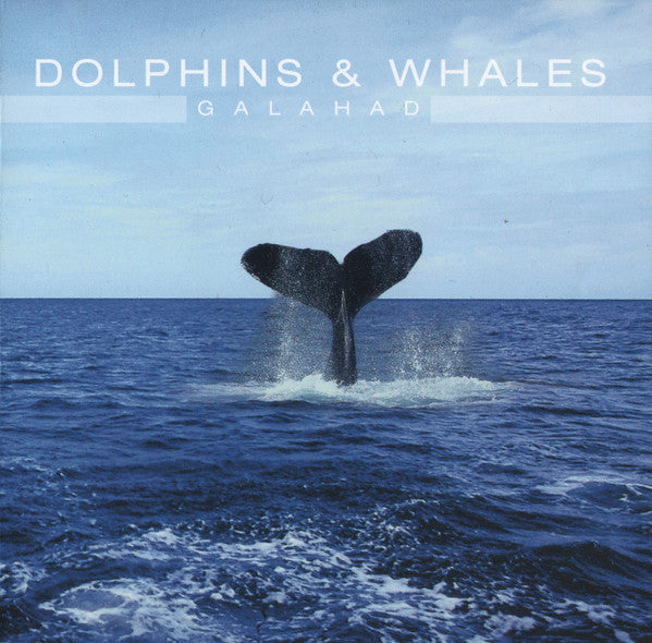 dolphins-&-whales