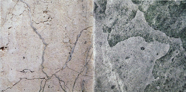 turns-into-stone
