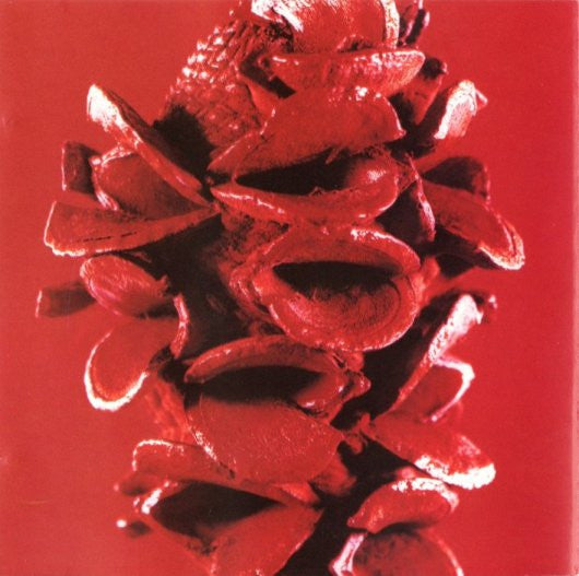 the-album