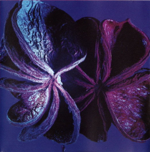 the-album