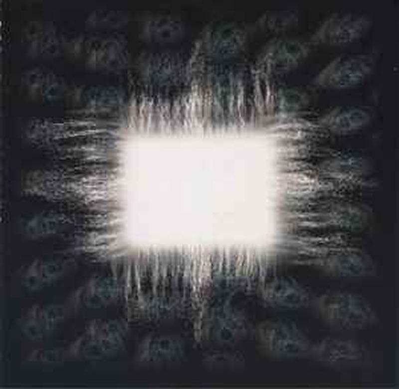 ænima