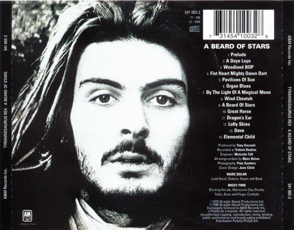 a-beard-of-stars