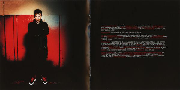 a-beautiful-lie