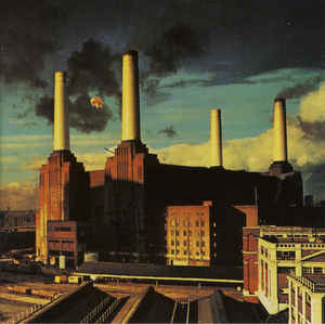animals