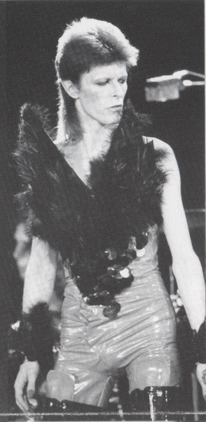 the-rise-and-fall-of-ziggy-stardust-and-the-spiders-from-mars