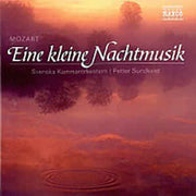 eine-kleine-nachtmusik
