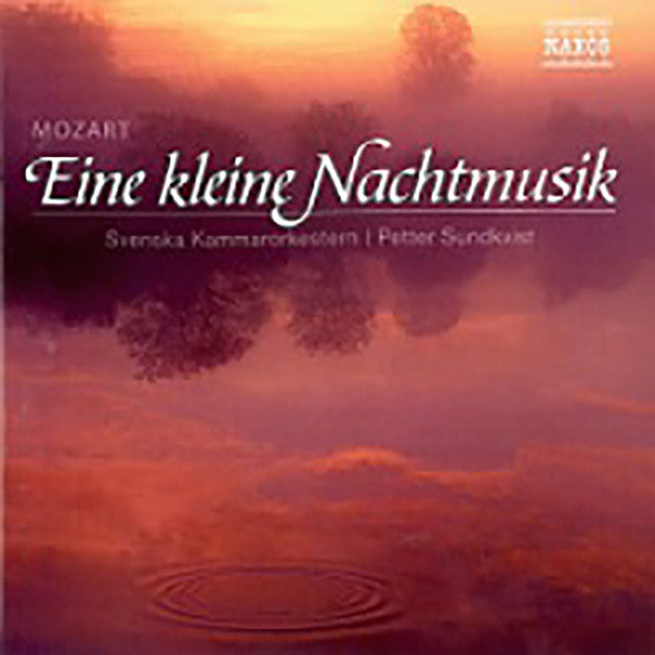 eine-kleine-nachtmusik