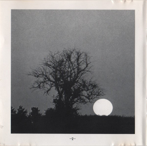 bare-trees