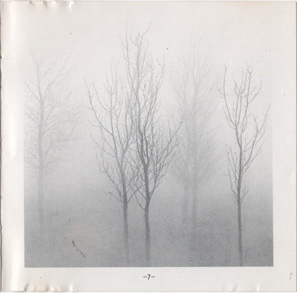 bare-trees