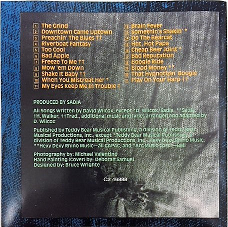 over-60-minutes-with...-david-wilcox