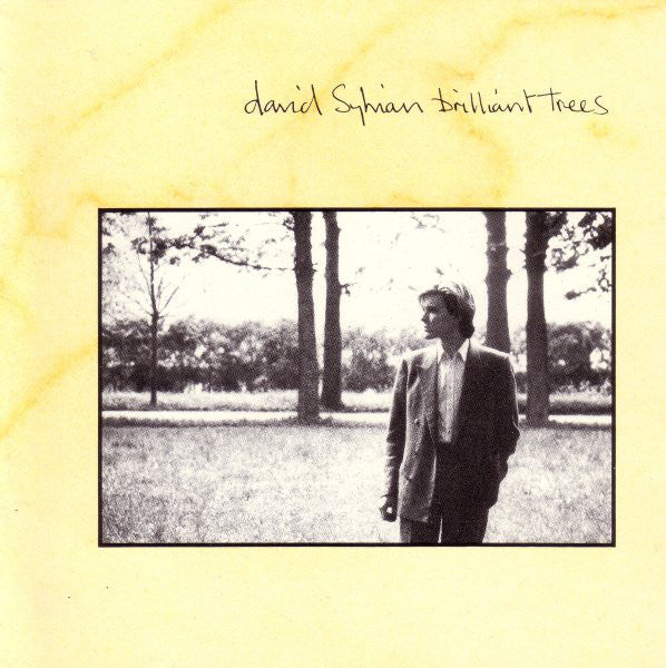 brilliant-trees