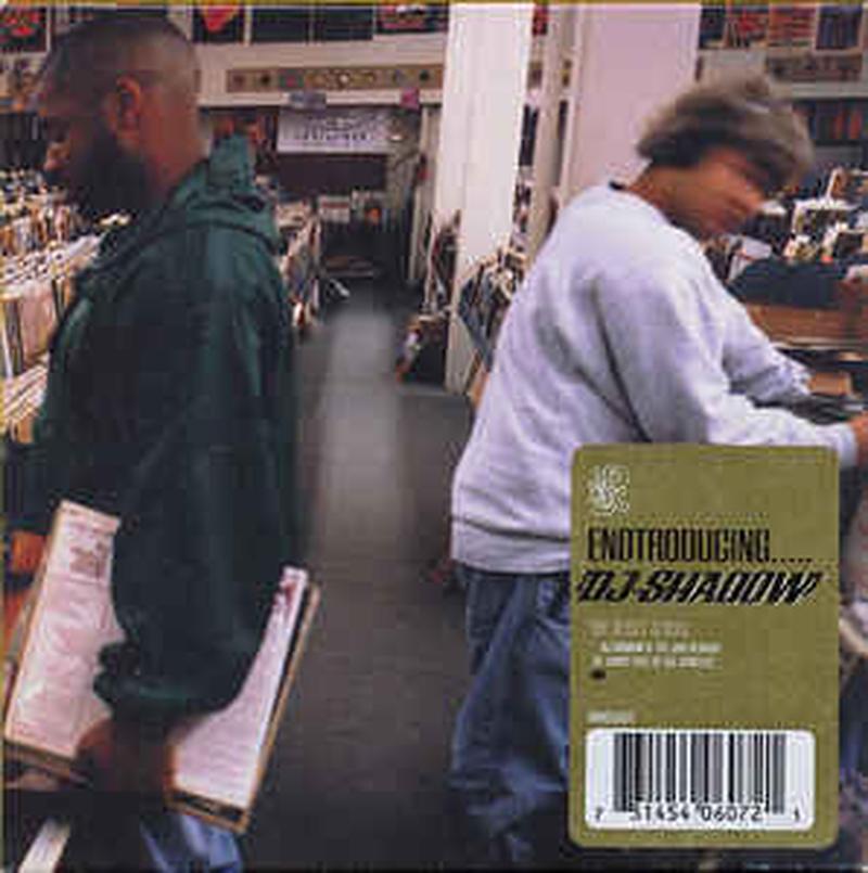 endtroducing.....