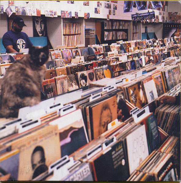 endtroducing.....