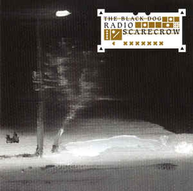 radio-scarecrow