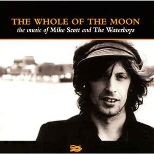 the-whole-of-the-moon-(the-music-of-mike-scott-and-the-waterboys)