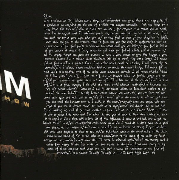 the-eminem-show