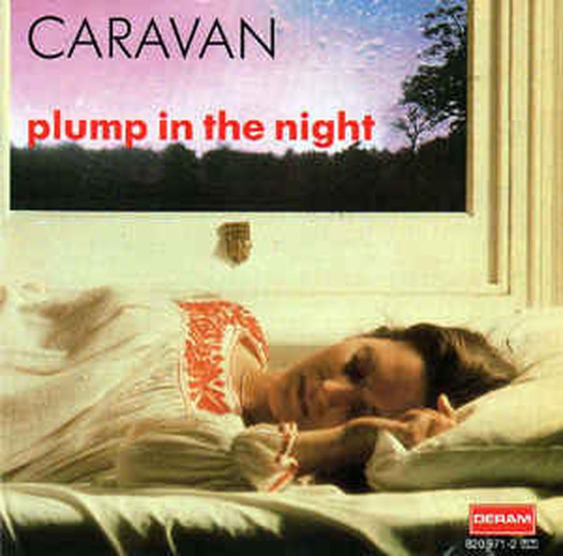 for-girls-who-grow-plump-in-the-night