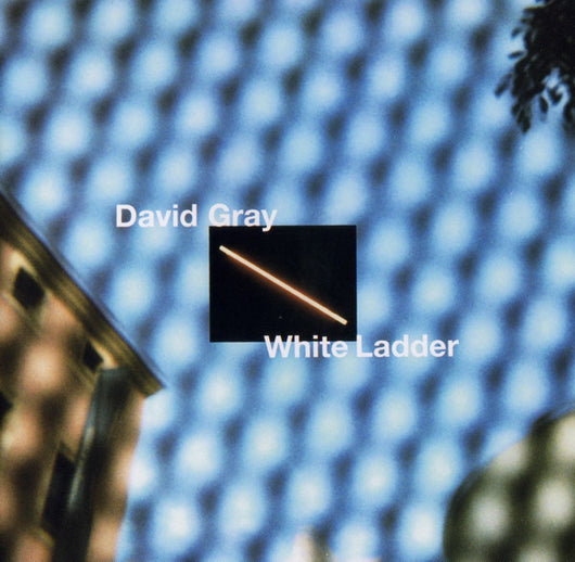 white-ladder