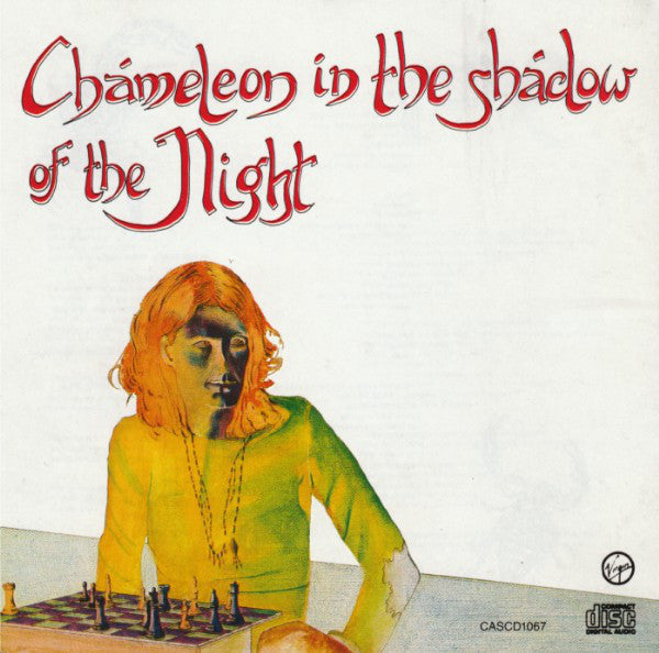 chameleon-in-the-shadow-of-the-night