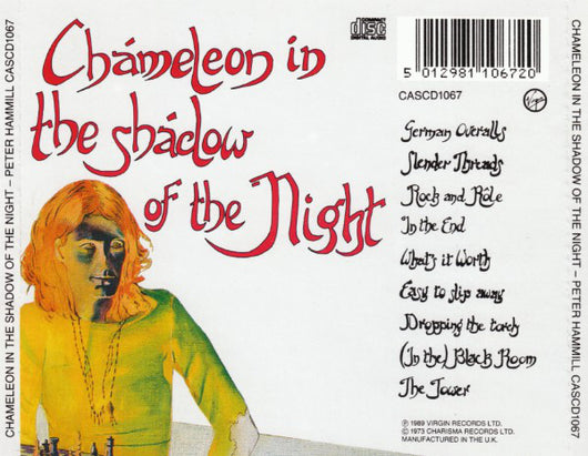 chameleon-in-the-shadow-of-the-night