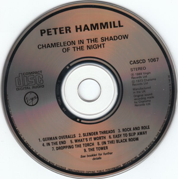 chameleon-in-the-shadow-of-the-night