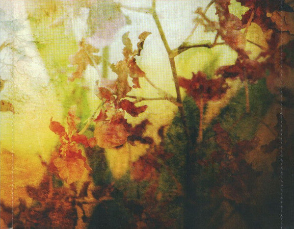 flavors-of-entanglement