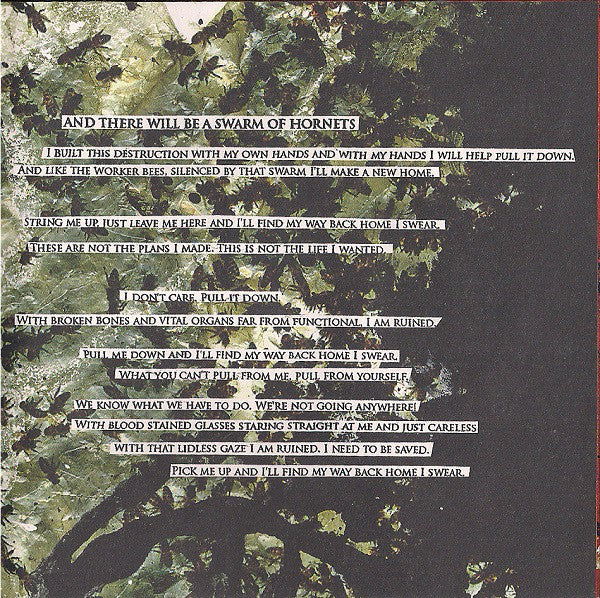 the-anti-mother