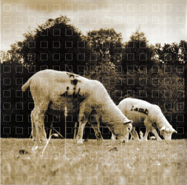 what-sound