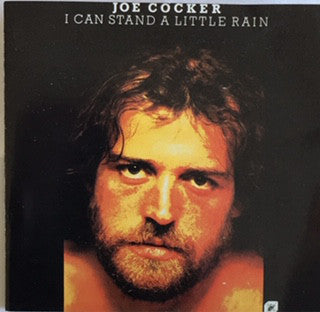 i-can-stand-a-little-rain