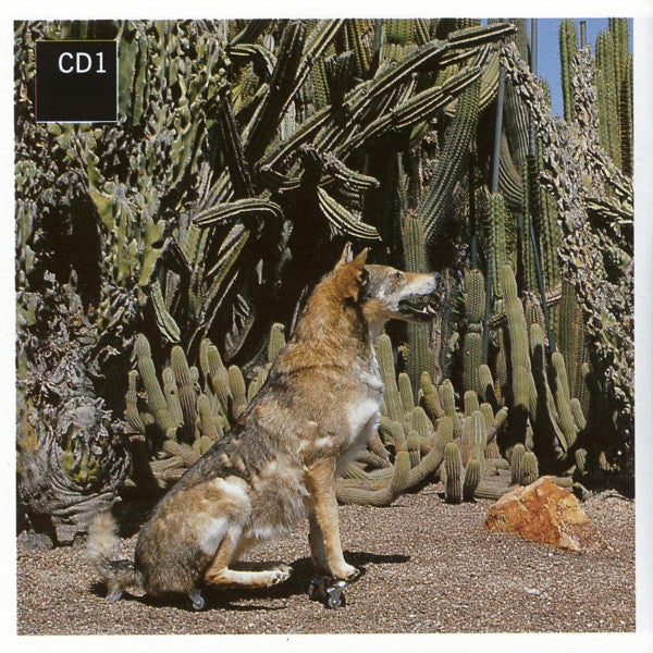 rare-loop-(remixes)