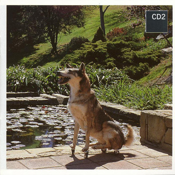 rare-loop-(remixes)