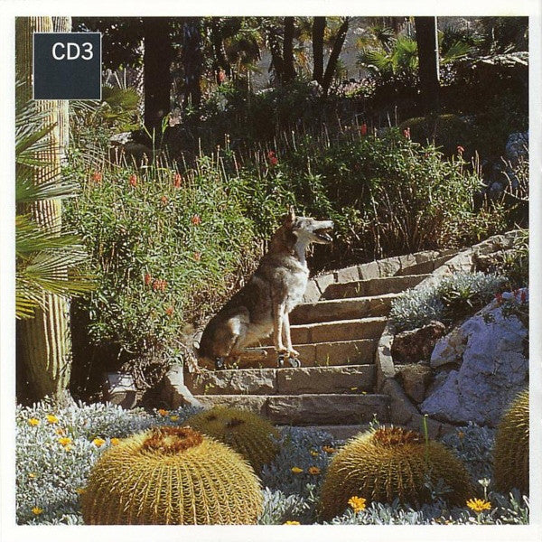 rare-loop-(remixes)