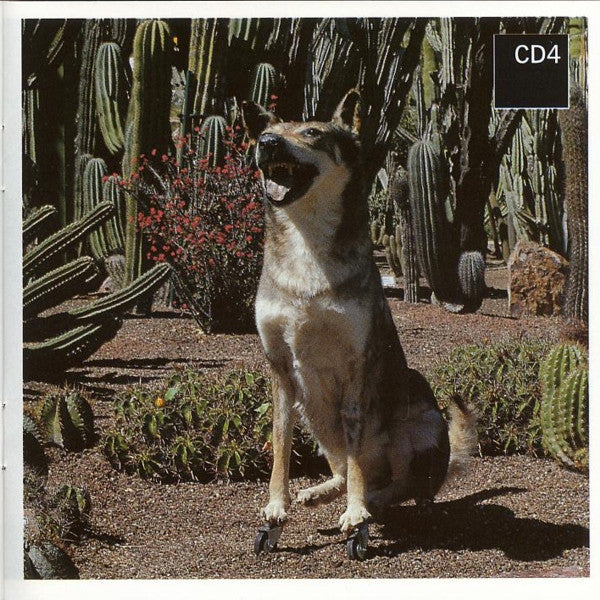 rare-loop-(remixes)