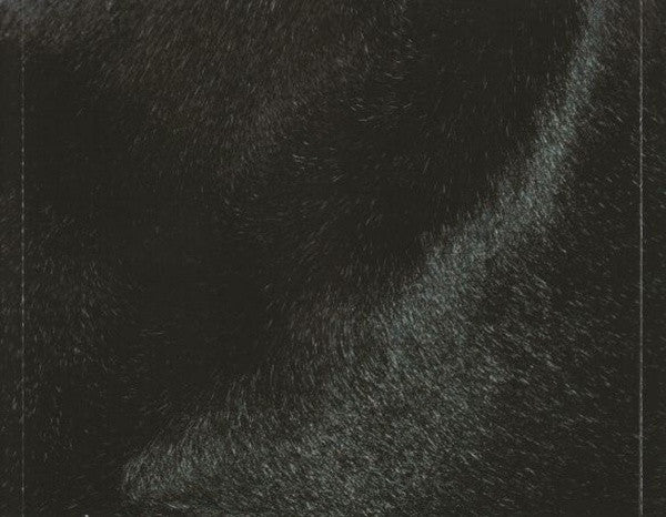 dark-horse
