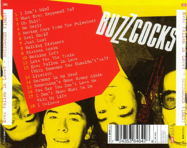 ever-fallen-in-love?---buzzcocks-finest