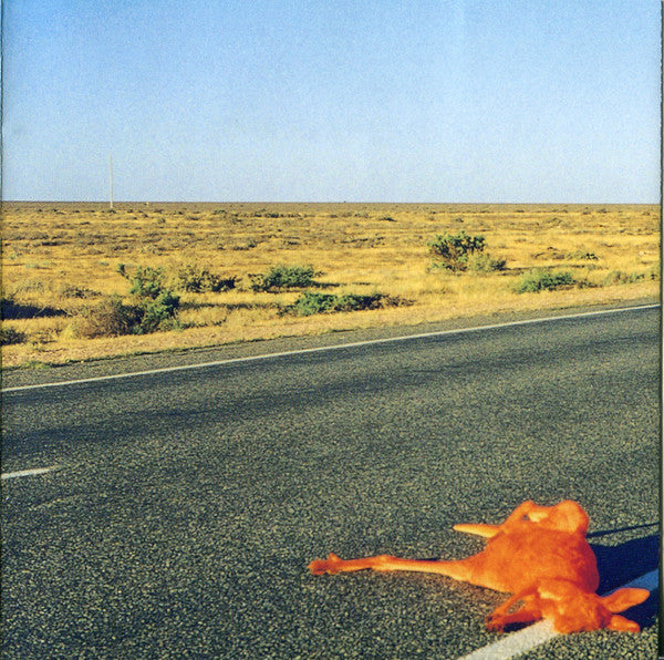road-kill