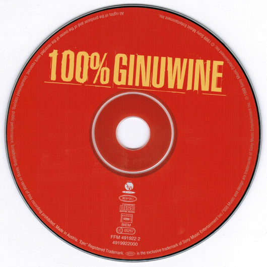 100%-ginuwine