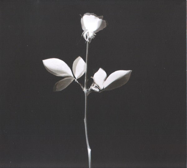 violator