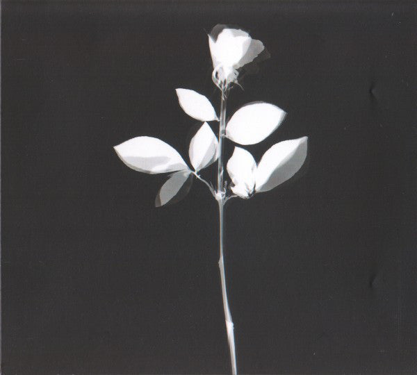 violator