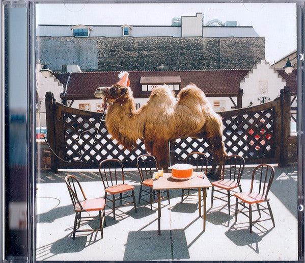 wilco-(the-album)