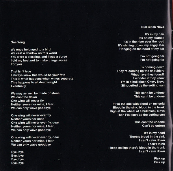 wilco-(the-album)