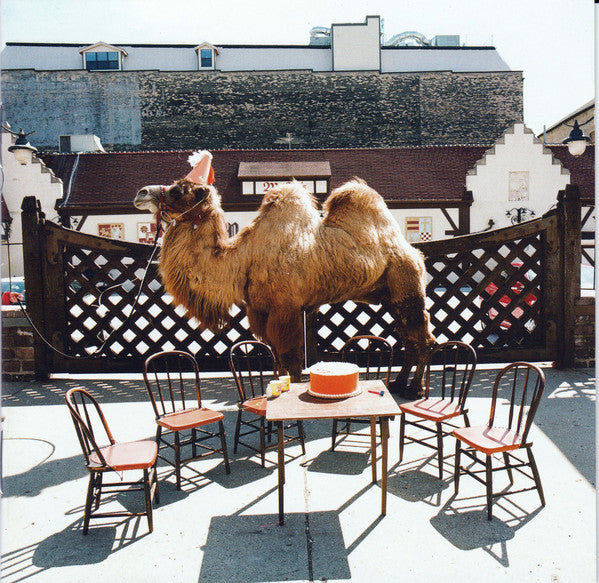 wilco-(the-album)